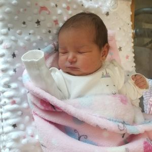 Meet your Posher, Karen